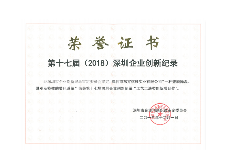 第十七届（2018）深圳企业创新纪录“工艺工法类创新项目奖”
                     “工艺工法类创新项目奖”